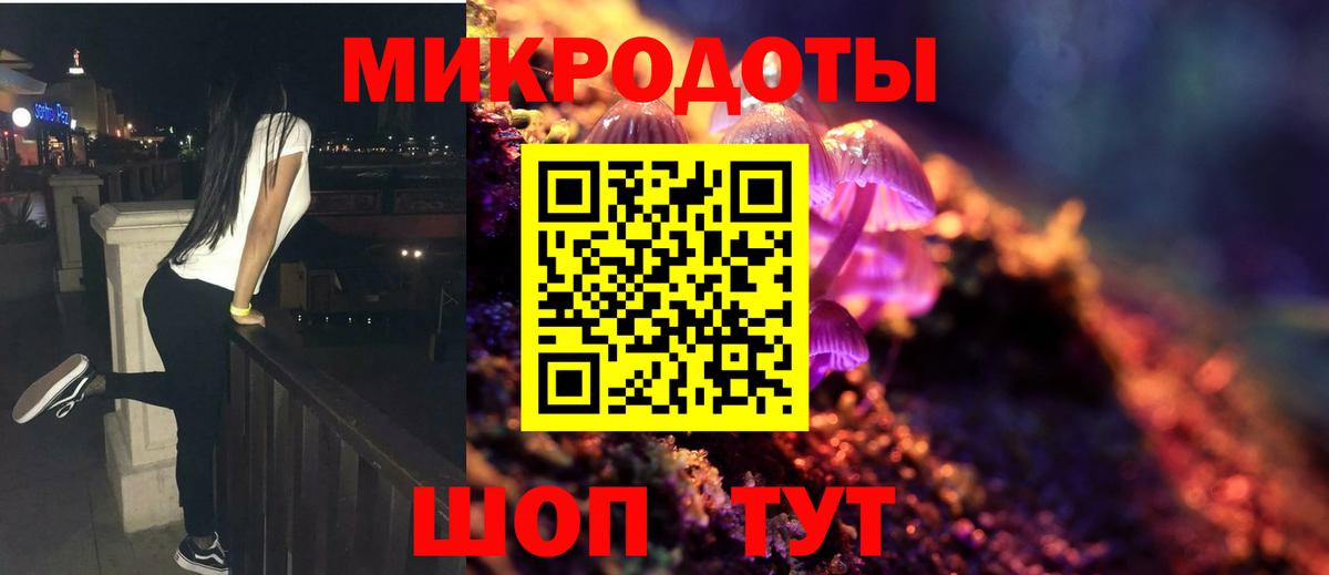 Псилоцибиновые грибы Psilocybe Карталы