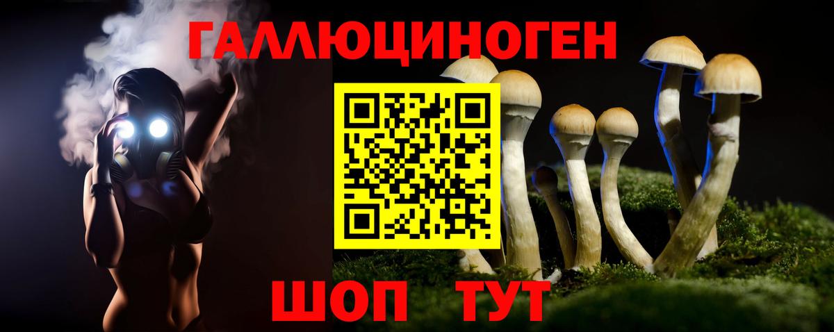 Галлюциногенные грибы Magic Shrooms  Псилоцибиновые грибы мицелий  Вход с VPN  Карталы 